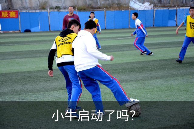 小牛启动了吗？